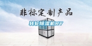 转轮除湿机RY