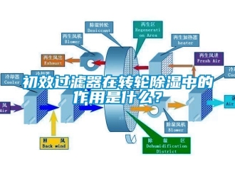 企业新闻初效过滤器在转轮除湿中的作用是什么？