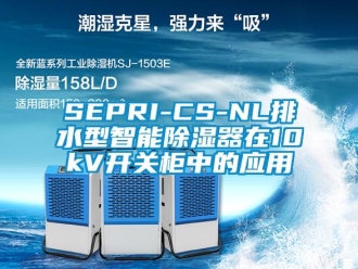 企业新闻SEPRI-CS-NL排水型智能除湿器在10kV开关柜中的应用