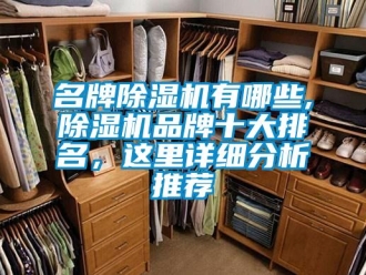 企业新闻名牌除湿机有哪些,除湿机品牌十大排名，这里详细分析推荐