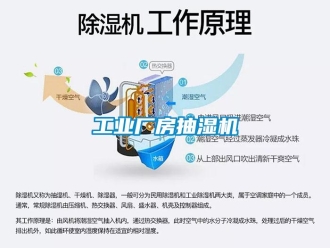 企业新闻万向娱乐厂房抽湿机