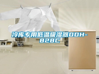 企业新闻冷库专用低温吸湿器DDH-828C