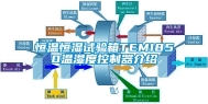 恒温恒湿试验箱TEMI850温湿度控制器介绍