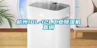 杭州10L-12L万向娱乐除湿机直销