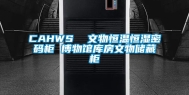 CAHWS  文物恒温恒湿密码柜 博物馆库房文物储藏柜