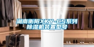 湖南衡阳XKY-CS系列除湿机装置型号