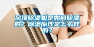 吊顶除湿机是如何除湿的？除湿原理是怎么样的？