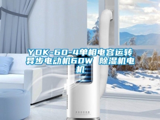 企业新闻YDK-60-4单相电容运转异步电动机60W 除湿机电机