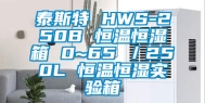 泰斯特 HWS-250B 恒温恒湿箱 0~65℃／250L 恒温恒湿实验箱