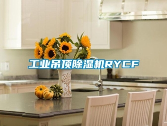 常见问题万向娱乐吊顶除湿机RYCF