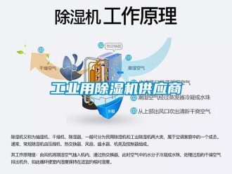 常见问题万向娱乐用除湿机供应商