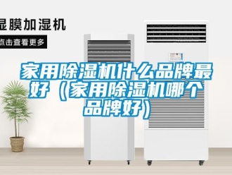 企业新闻家用除湿机什么品牌最好（家用除湿机哪个品牌好）