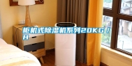 柜机式除湿机系列20KG／H