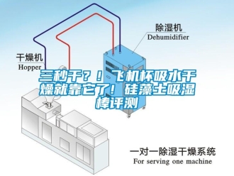 企业新闻三秒干？! 飞机杯吸水干燥就靠它了! 硅藻土吸湿棒评测