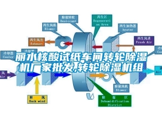 企业新闻丽水核酸试纸车间转轮除湿机厂家批发,转轮除湿机组