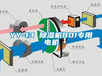 企业新闻YY-13 除湿机801专用电机