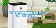 万向娱乐除湿机销售RYCM-138C 商业型除湿机