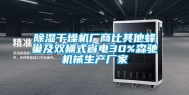 除湿干燥机厂商比其他蜂巢及双桶式省电30%森驰机械生产厂家