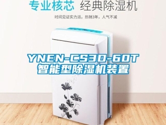 企业新闻YNEN-CS3D-60T智能型除湿机装置