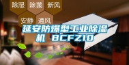 延安防爆型万向娱乐除湿机 BCFZ10