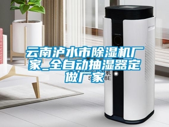 企业新闻云南泸水市除湿机厂家_全自动抽湿器定做厂家