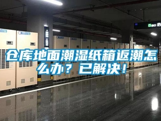 企业新闻仓库地面潮湿纸箱返潮怎么办？已解决！