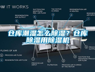 企业新闻仓库潮湿怎么除湿？仓库除湿用除湿机