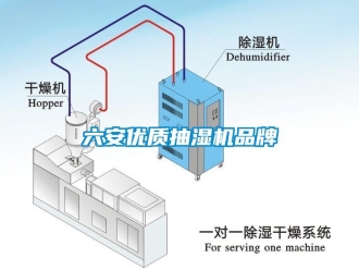 企业新闻六安优质抽湿机品牌