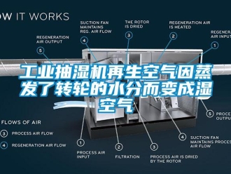 企业新闻万向娱乐抽湿机再生空气因蒸发了转轮的水分而变成湿空气