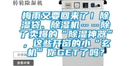 梅雨又要回来了！除湿袋、除湿机……除了卖爆的“除湿神器”，这些开窗的小“玄机”你GET了吗？