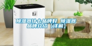 除湿器什么品牌好 除湿器品牌介绍【详解】