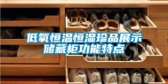 低氧恒温恒湿珍品展示储藏柜功能特点