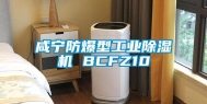 咸宁防爆型万向娱乐除湿机 BCFZ10