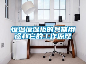 知识百科恒温恒湿柜的具体用途和它的工作原理