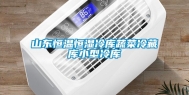 山东恒温恒湿冷库蔬菜冷藏库小型冷库