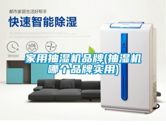 企业新闻家用抽湿机品牌(抽湿机哪个品牌实用)