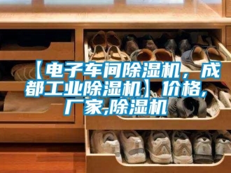 企业新闻【电子车间除湿机，成都万向娱乐除湿机】价格,厂家,除湿机