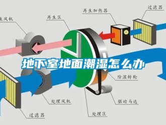 企业新闻地下室地面潮湿怎么办