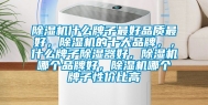 除湿机什么牌子最好品质最好，除湿机的十大品牌，，什么牌子除湿器好，除湿机哪个品牌好，除湿机哪个牌子性价比高