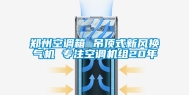郑州空调箱 吊顶式新风换气机 专注空调机组20年