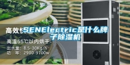 SENElectric是什么牌子除湿机