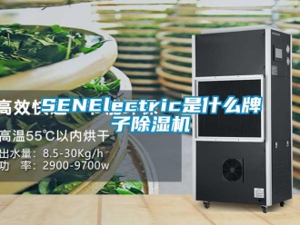 企业新闻SENElectric是什么牌子除湿机