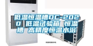 低温恒温槽DC-2020 低温试验箱 恒温槽 高精度恒温水浴